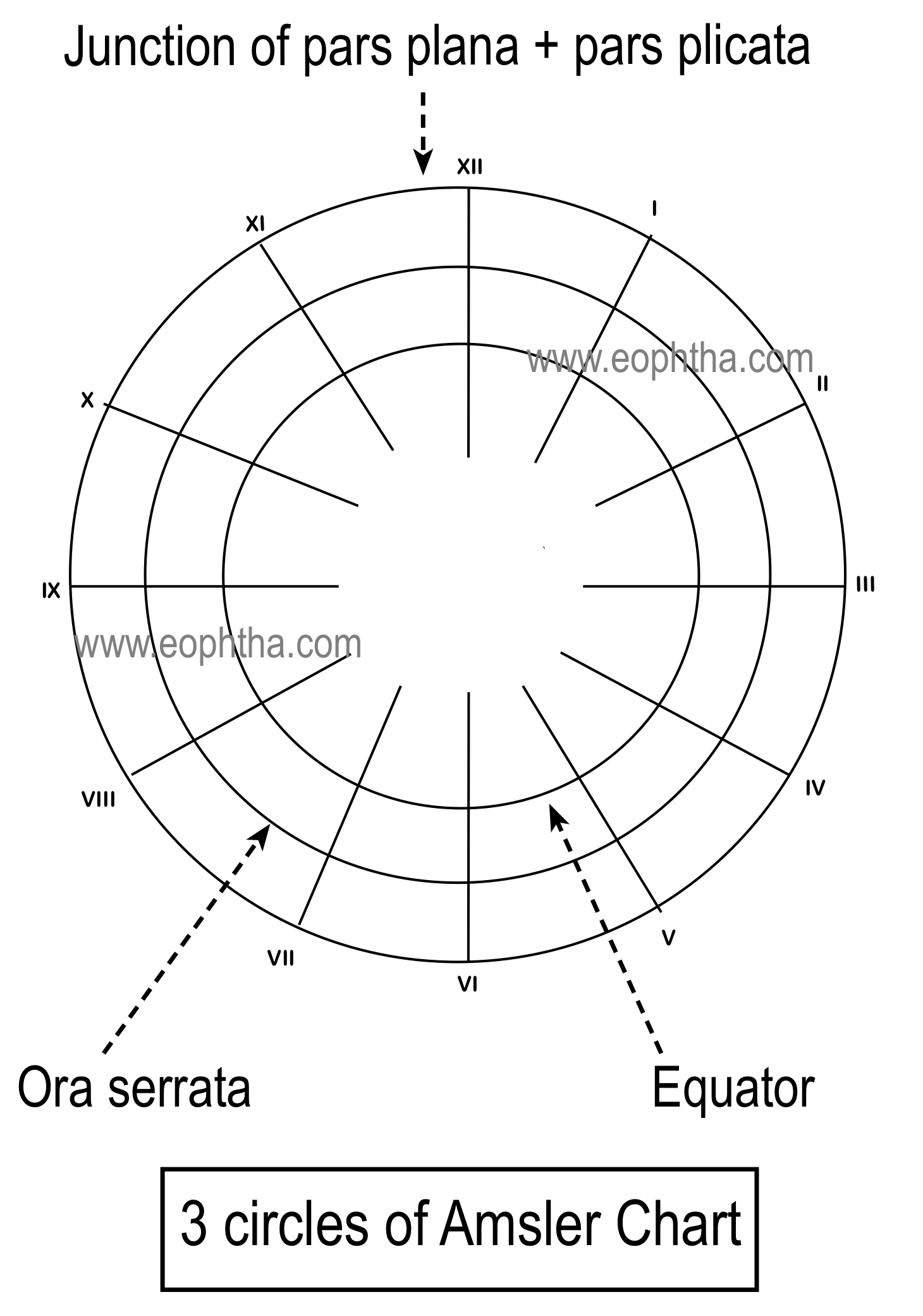 Documentation & Drawing in Ophthalmology